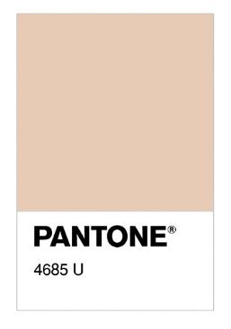Pantone 4685.png